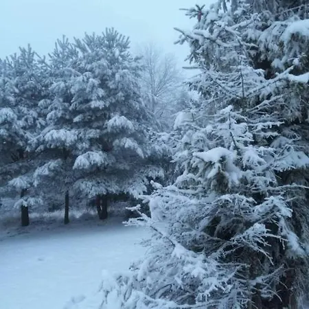 Alpstuga Michalka 2 - Pod Leskowcem Targoszow