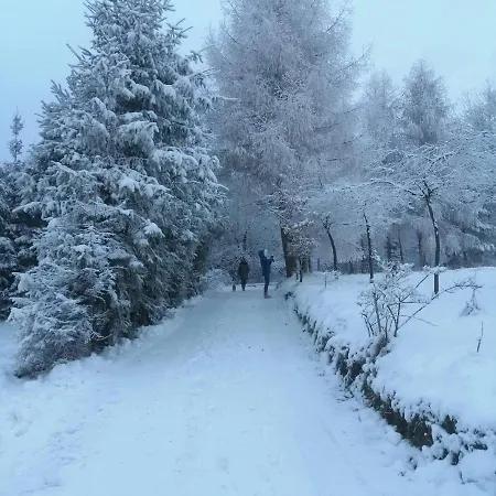 Michalka 2 - Pod Leskowcem Targoszow