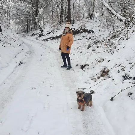 Michalka 2 - Pod Leskowcem Alpstuga *